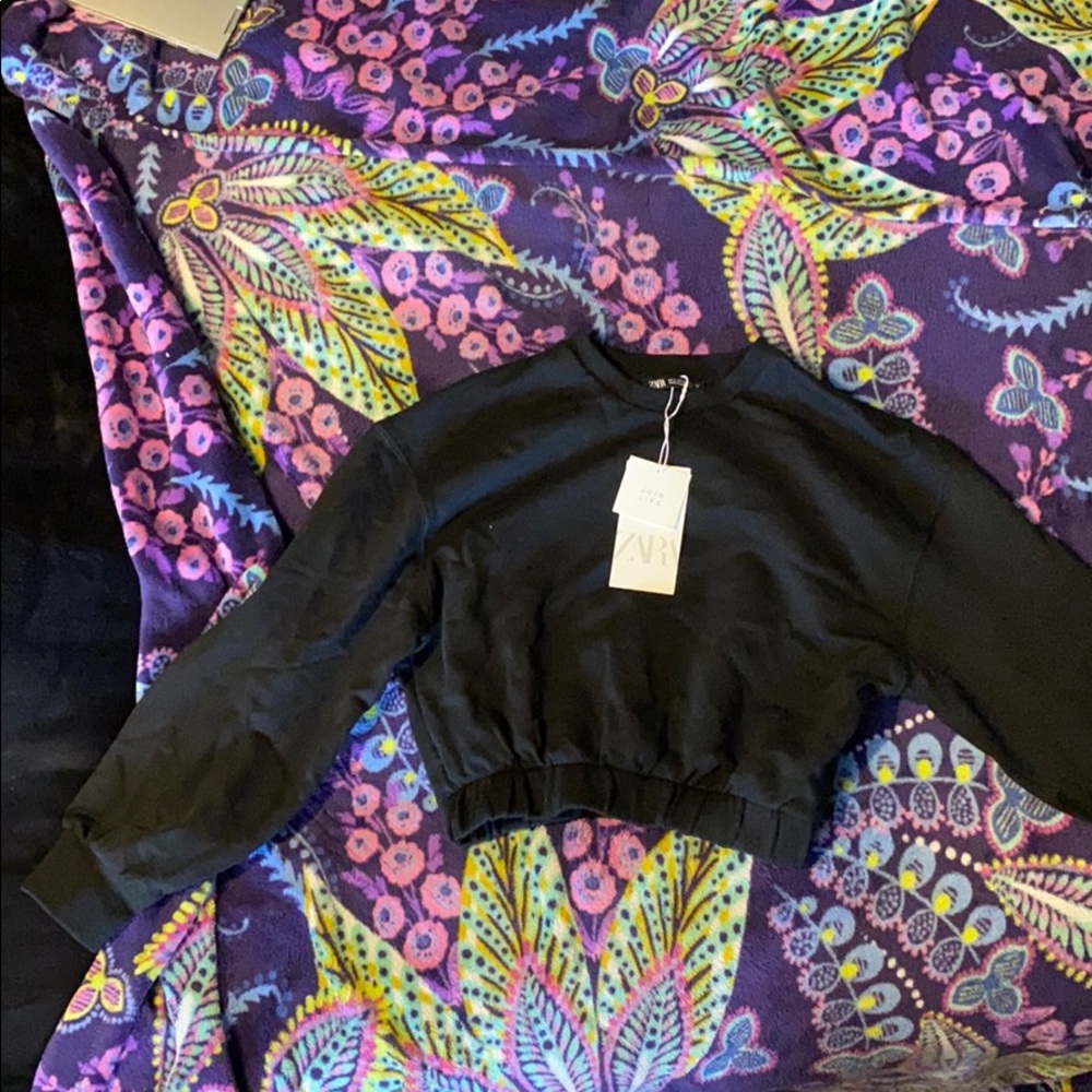 NWT Zara Cropped Sweatshirt With Zara Box